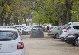 El Ayuntamiento pone más de 2.000 multas por entrar a La Cartuja con coches contaminantes