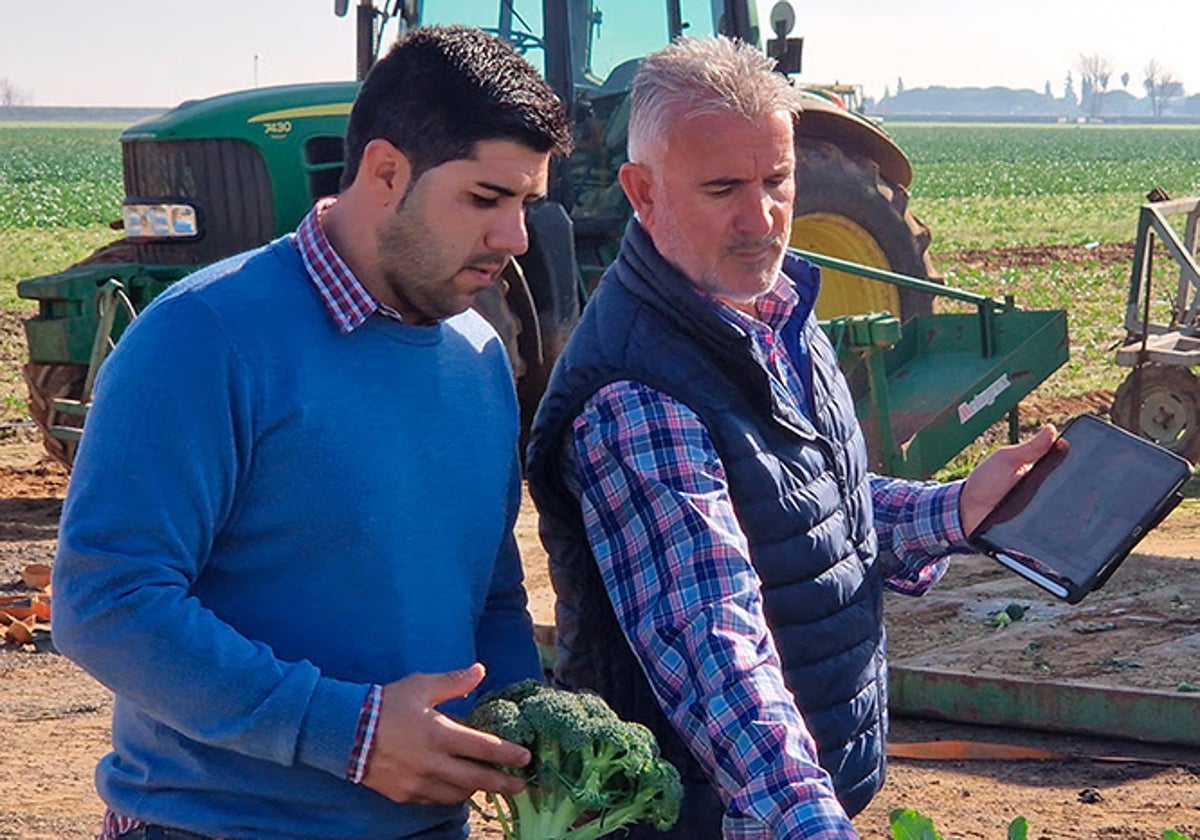 La digitalización de explotaciones agrícolas es uno de los objetivos de estas ayudas