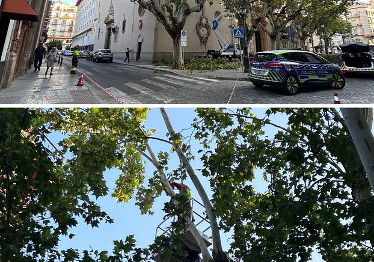 Imagen difundida desde el Ayuntamiento