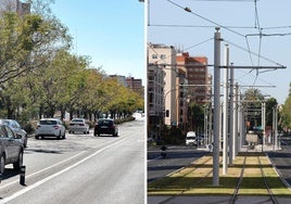 El cemento le gana terreno al verde en Sevilla: más de 5.000 árboles perdidos en menos de una década