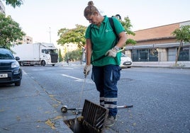 El virus del Nilo ataca de nuevo a Sevilla con ocho infecciones en Gelves, Guillena y Utrera