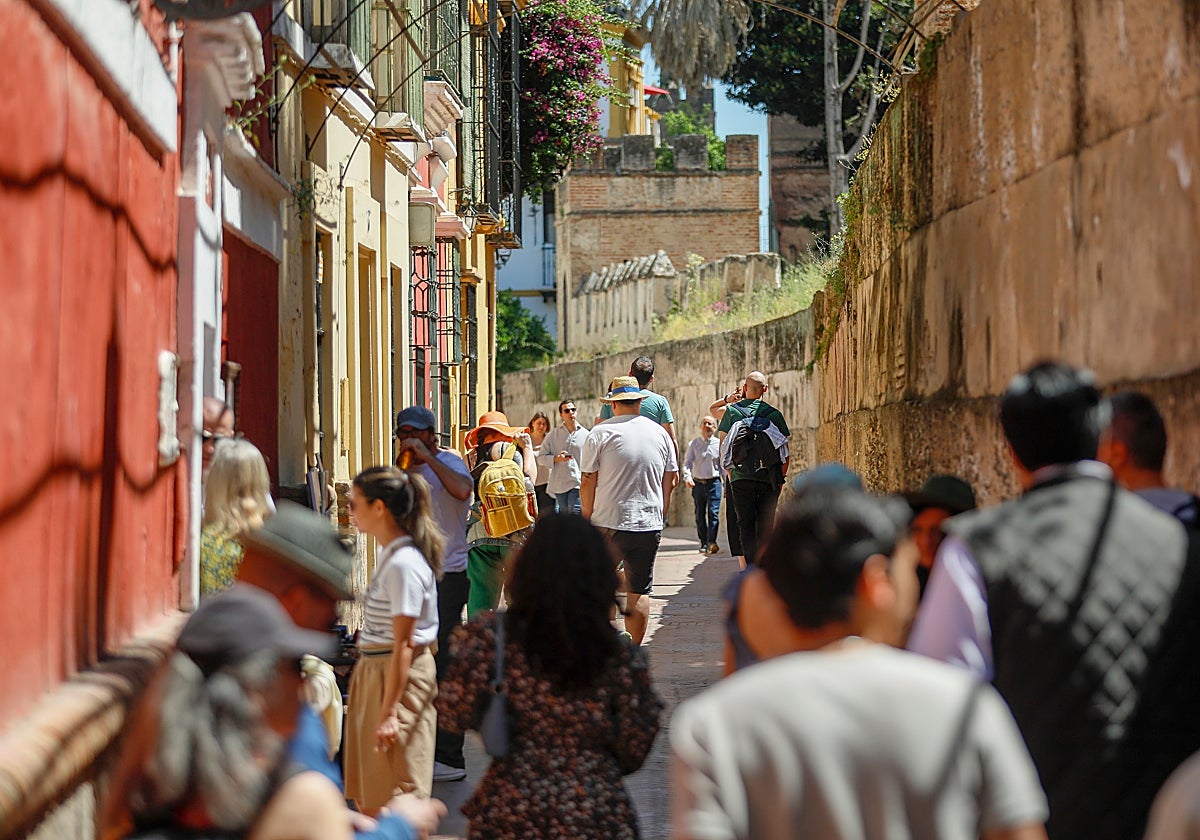 Turistas en el Centro de Sevilla