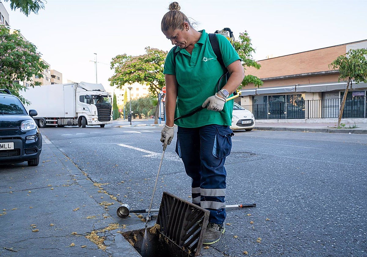 Labores de desinsección en Mairena del Aljaraf