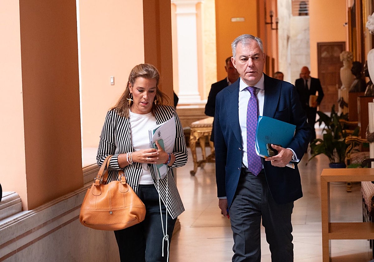El alcalde de Sevilla, José Luis Sanz, llegando al Pleno de este jueves