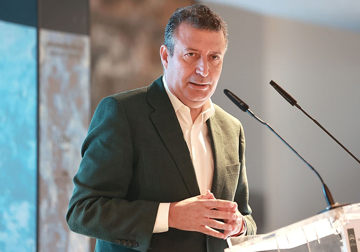 Javier Fernández es el presidente de la Diputación de Sevilla