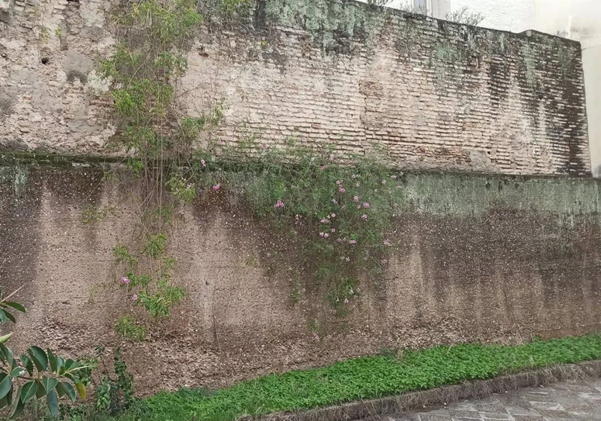 El lienzo de muralla que se encuentra en la medianera trasera del edificio de la calle Sol