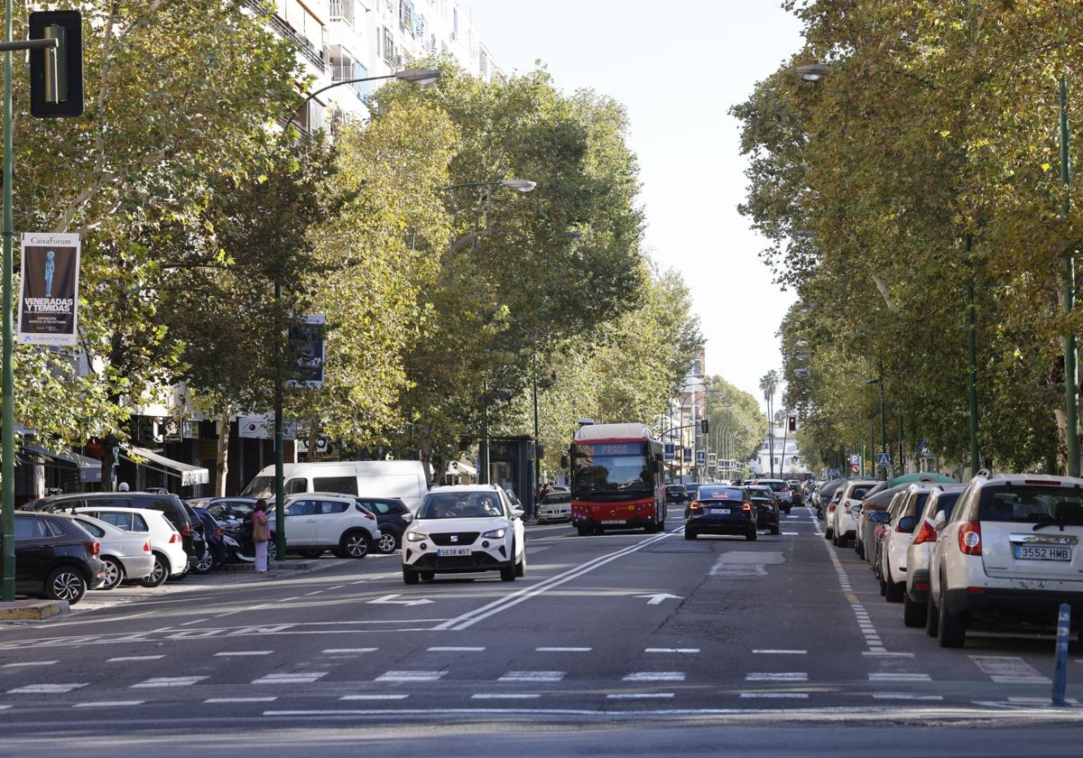 La avenida de Reina Mercedes es una de las arterias principales del Distrito Bellavista-La Palmera