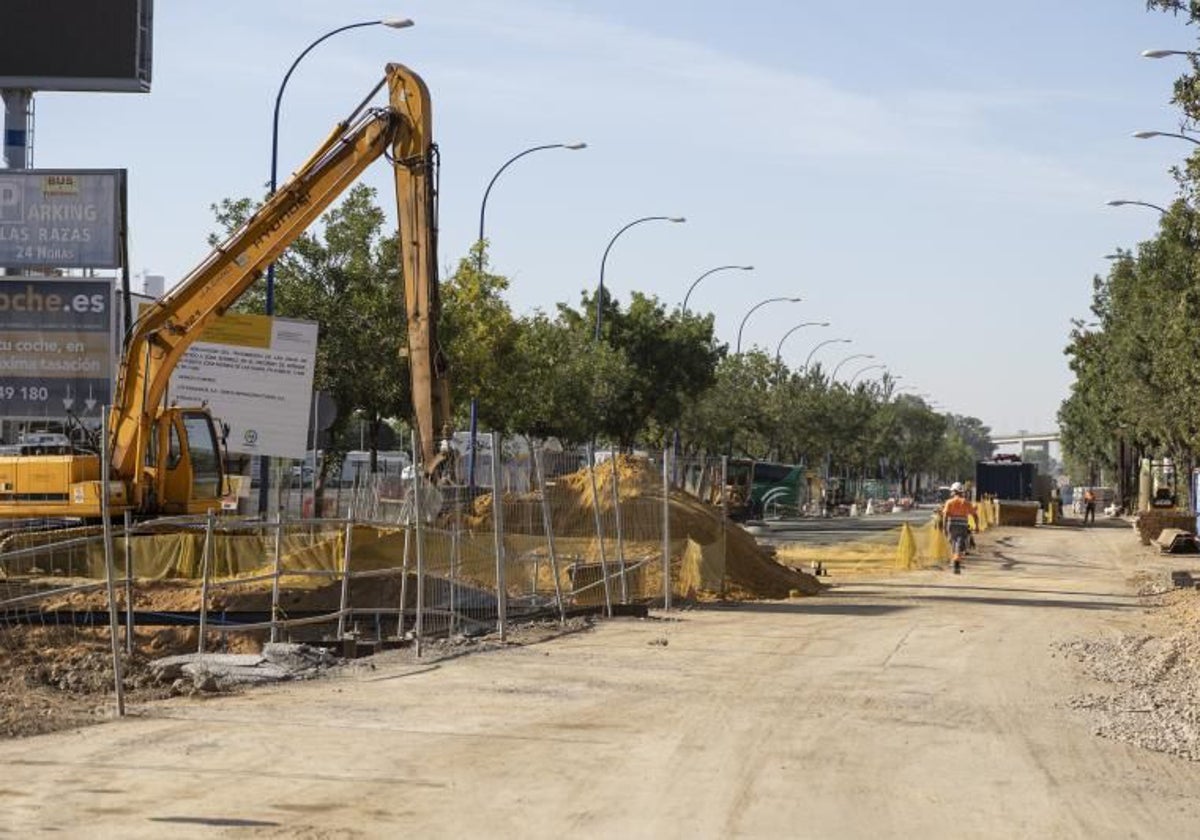 Imagen de archivo de las obras en la avenida de Las Razas