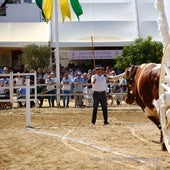 Una Pará en Gines 2024: cuándo empieza y qué actividades no te debes perder