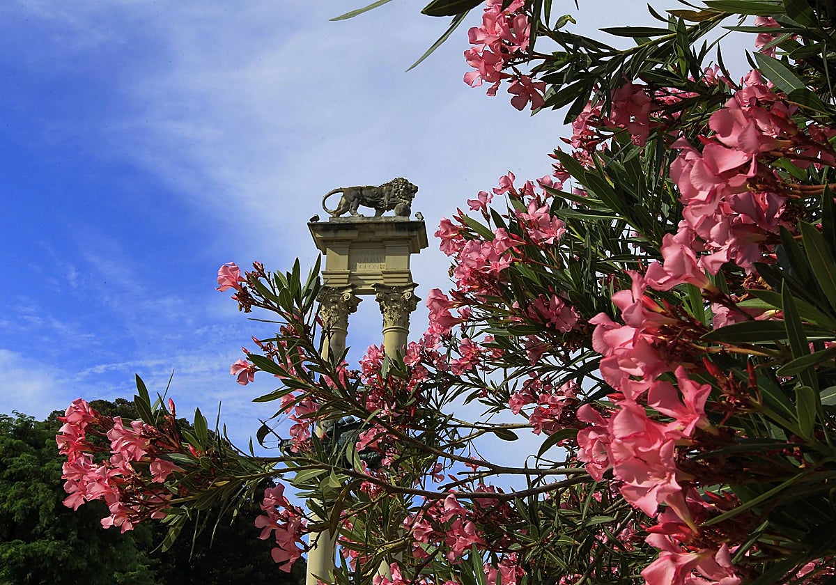 La parte superior del monumento a Cristóbal Colón en los Jardines de Murillo
