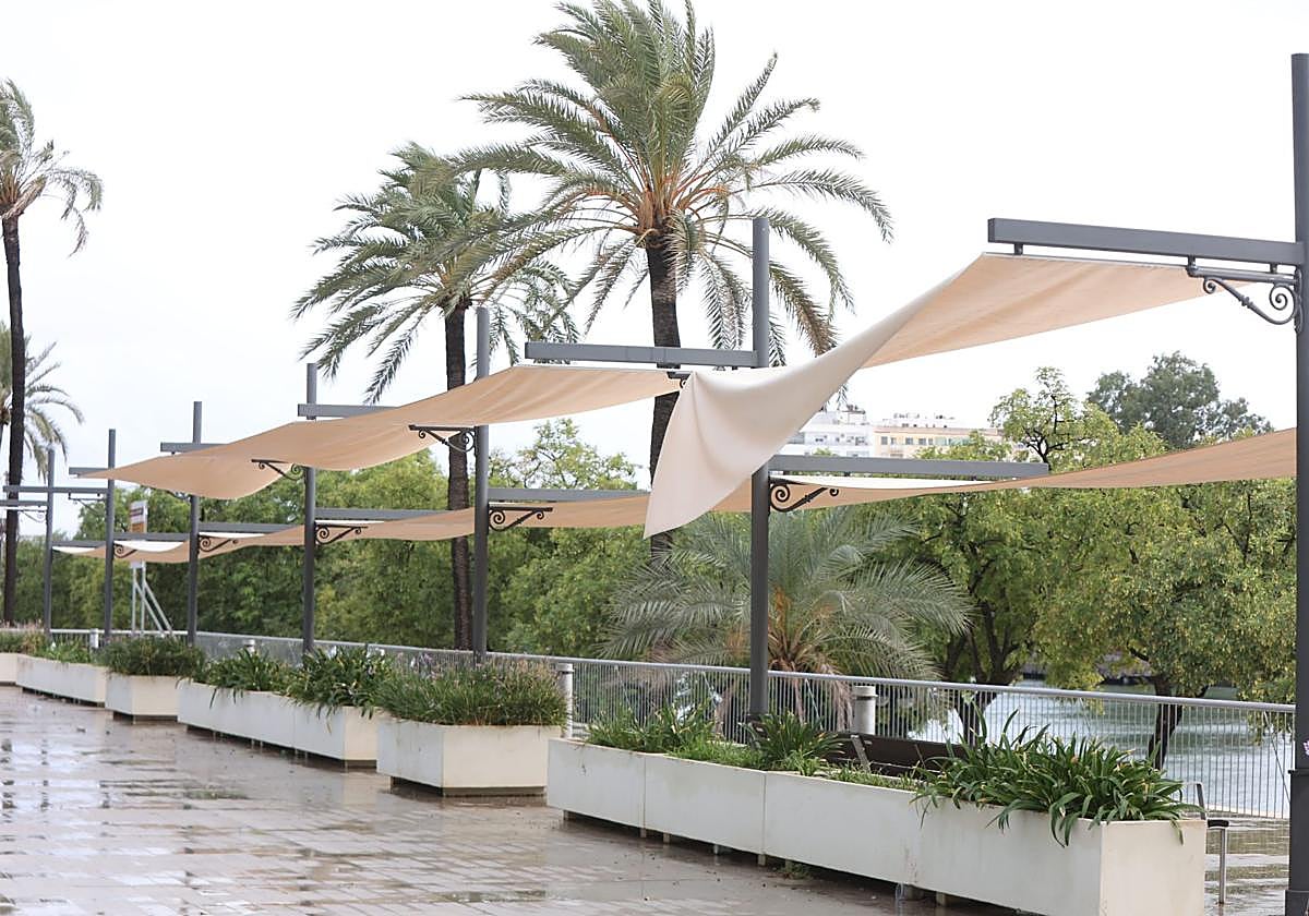 Imagen del Paseo Marqués de Contadero esta tarde