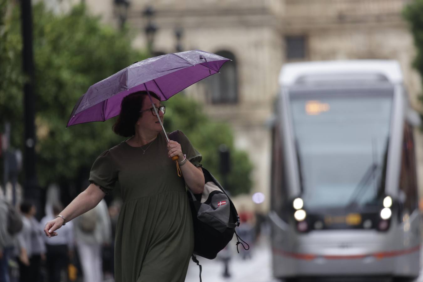 Los paraguas han inundado las calles del Centro de Sevilla durante el día de la Fiesta Nacional