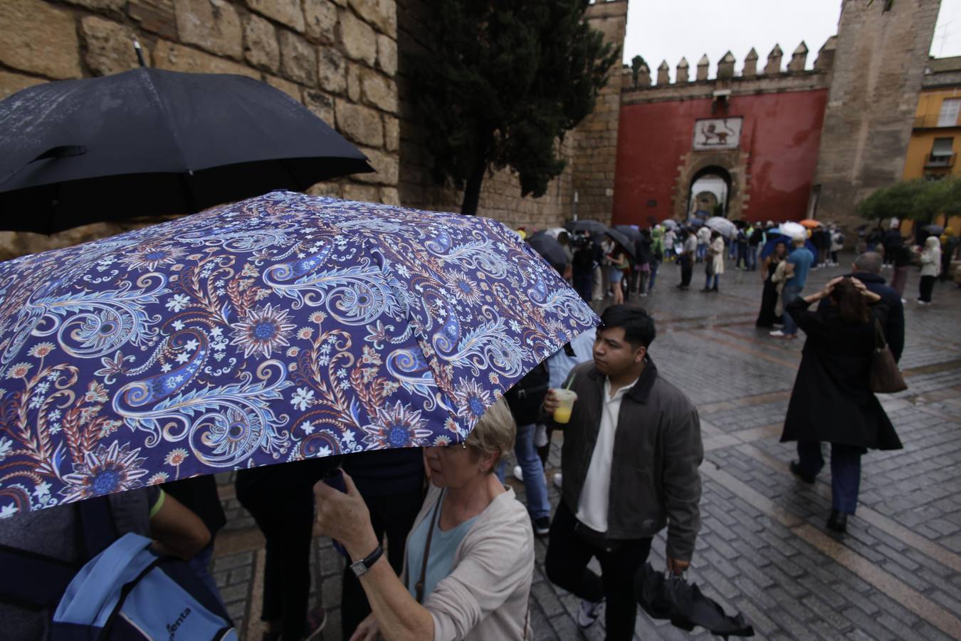 Los paraguas han inundado las calles del Centro de Sevilla durante el día de la Fiesta Nacional