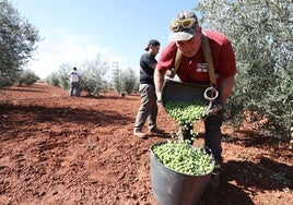 «Se debería retirar el subsidio agrario a quien no quiera trabajar en el campo»