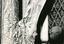 El precedente del incendio en El Silencio: la salvación del Cachorro en febrero de 1973