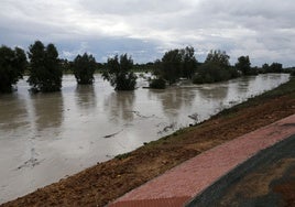 Las últimas lluvias dejan en Sevilla agua para un mes y medio