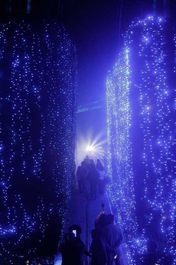 Espectáculo de Naturaleza Encendida en el Alcázar de Sevilla