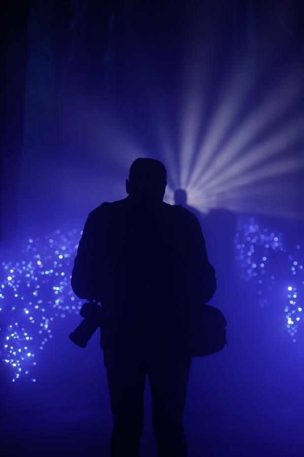Espectáculo de Naturaleza Encendida en el Alcázar de Sevilla