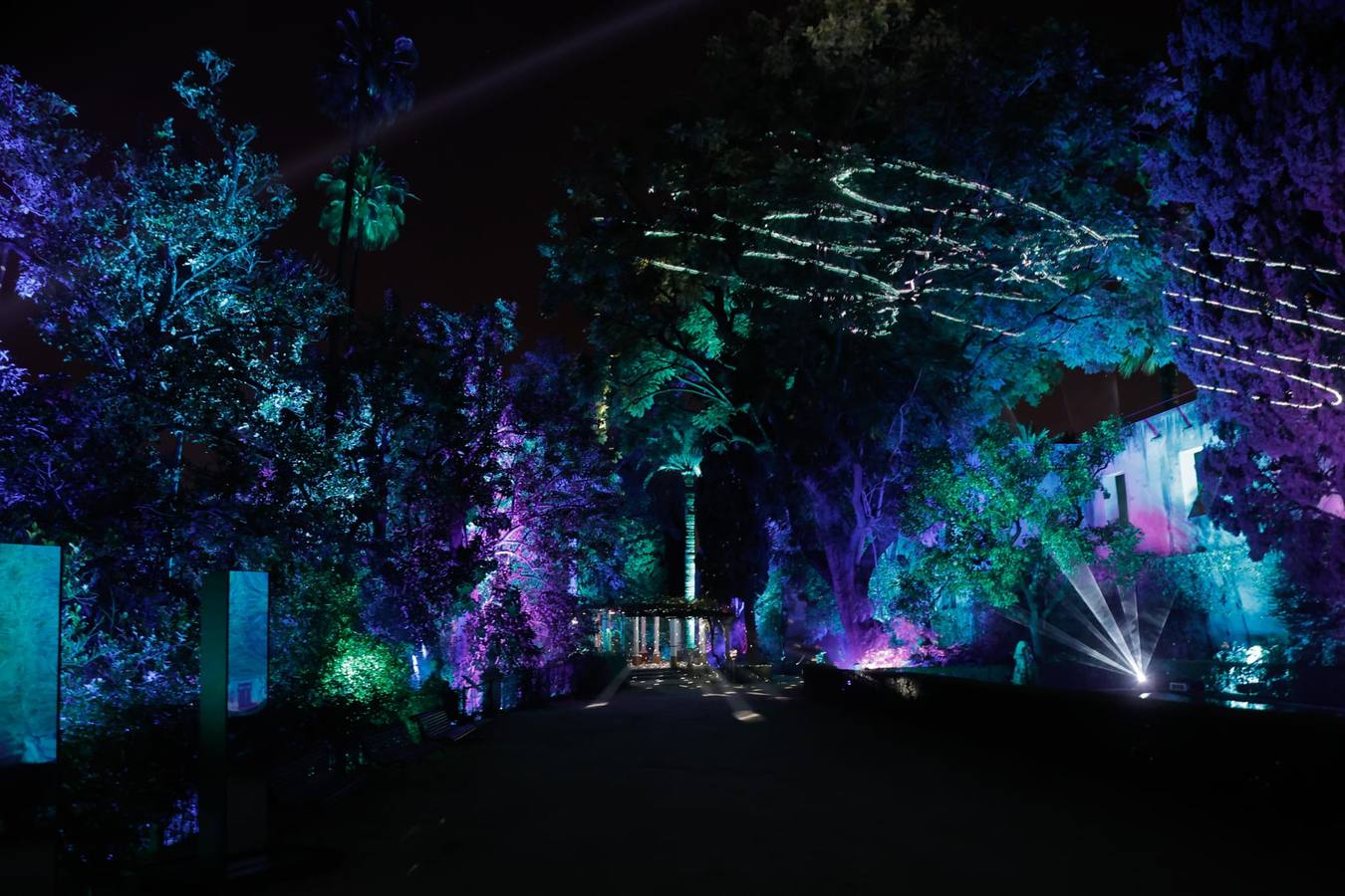 Espectáculo de Naturaleza Encendida en el Alcázar de Sevilla