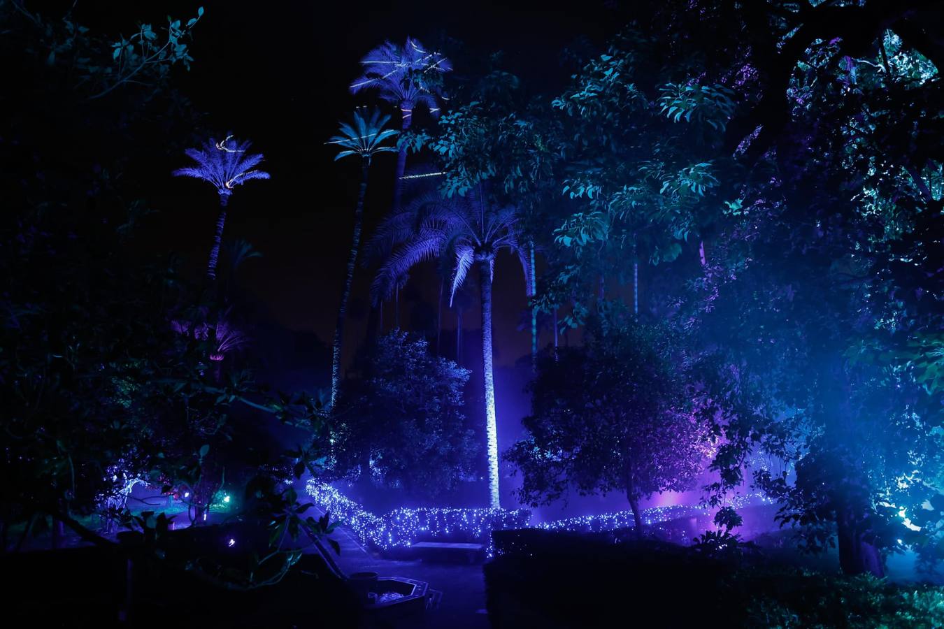 Espectáculo de Naturaleza Encendida en el Alcázar de Sevilla