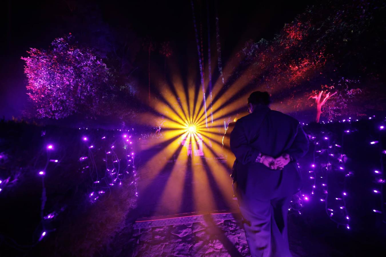 Espectáculo de Naturaleza Encendida en el Alcázar de Sevilla