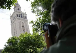 La Giralda de Sevilla entra en su quinta fase: la restauración de los balcones