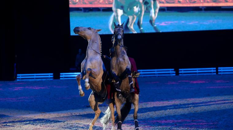 El caballo de Pura Raza Española brilla en una nueva edición de Sicab en Sevilla