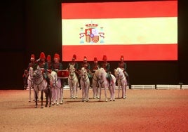 El caballo de Pura Raza Española brilla en una nueva edición de Sicab en Sevilla