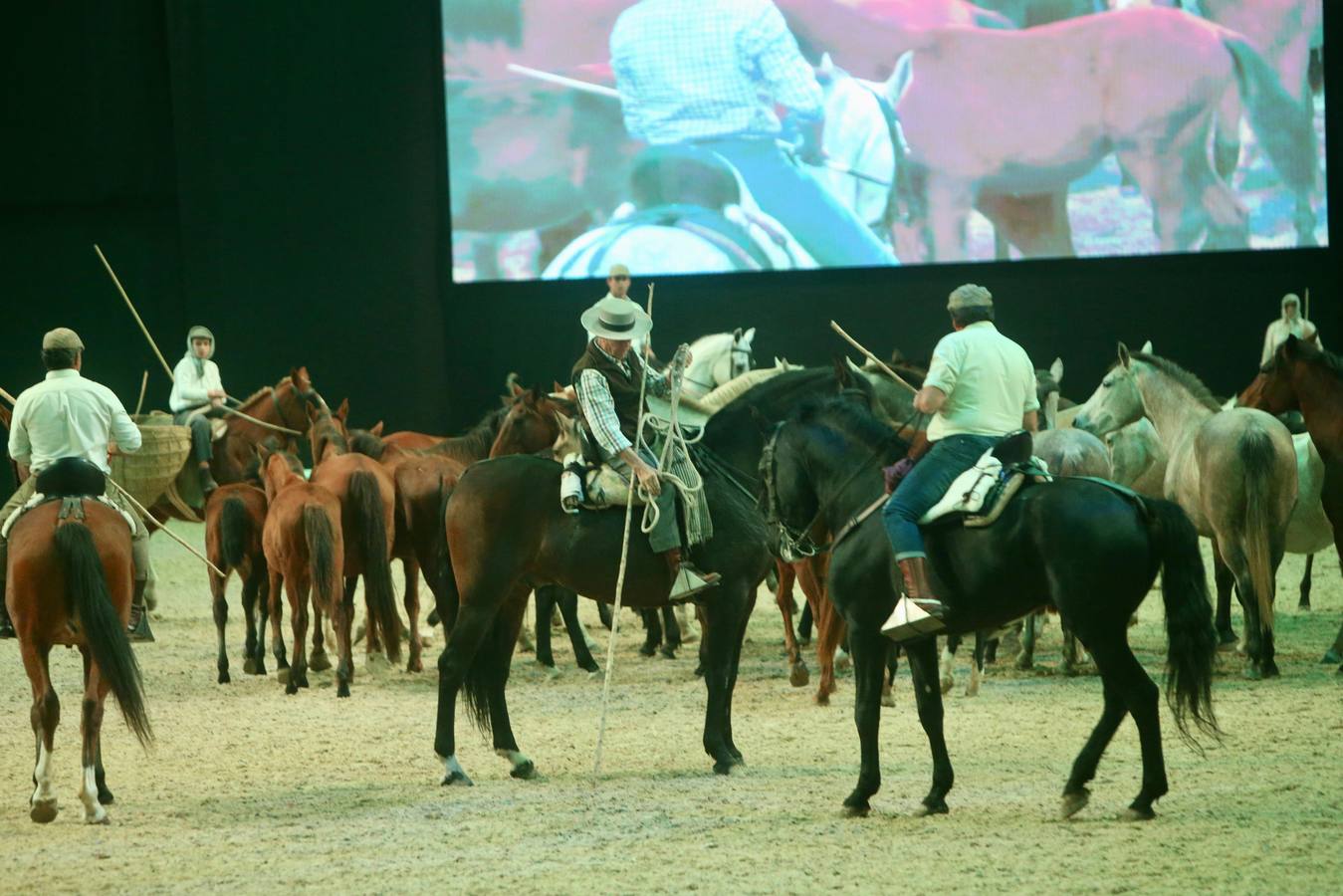 El salón reúne en Fibes 893 ejemplares de 323 ganaderías hasta el próximo domingo