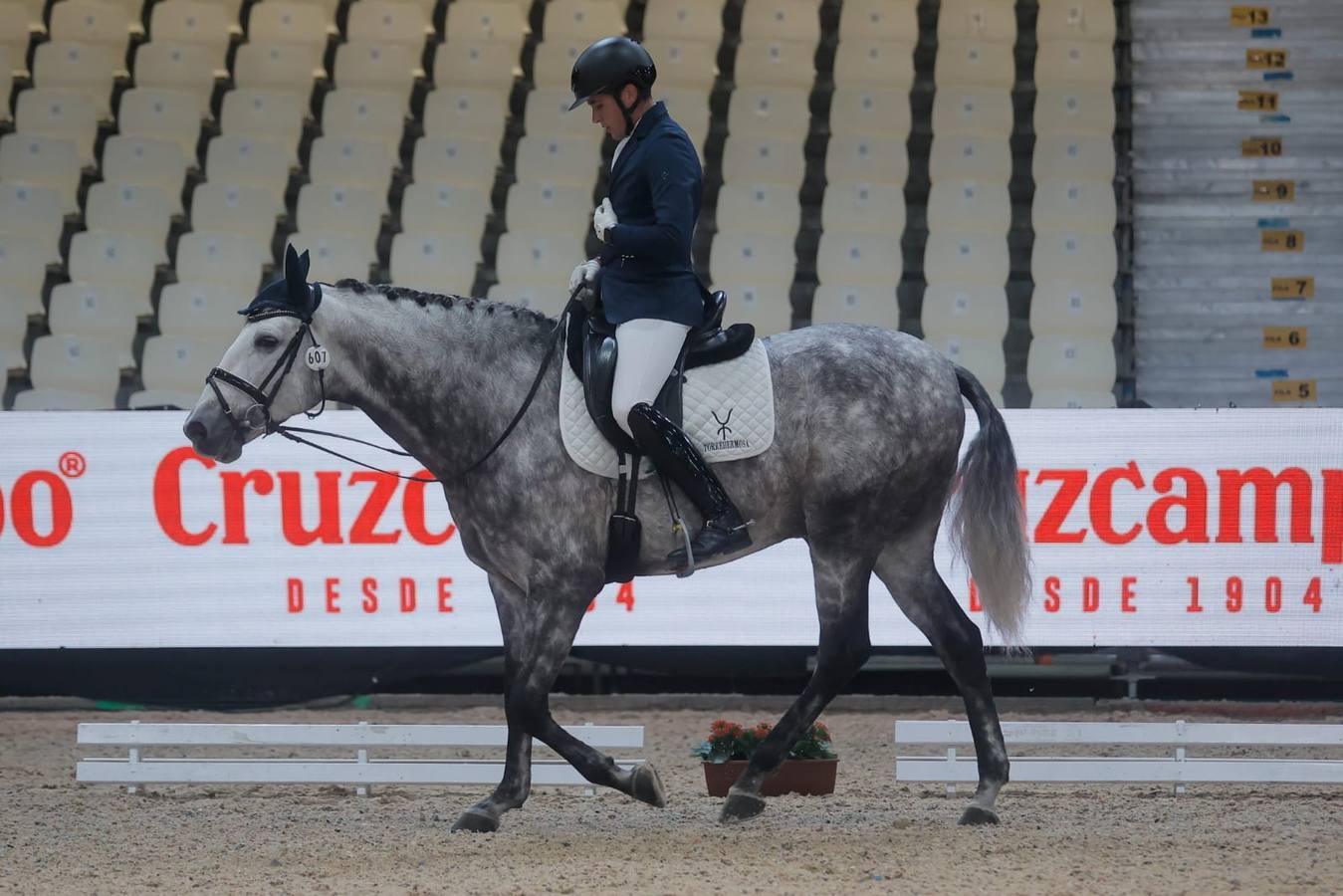 El Sicab se ha convertido en una cita obligada para los aficionados y profesionales del mundo del caballo