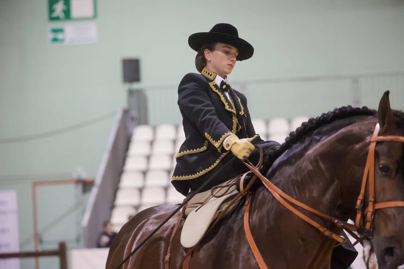 El Sicab se ha convertido en una cita obligada para los aficionados y profesionales del mundo del caballo