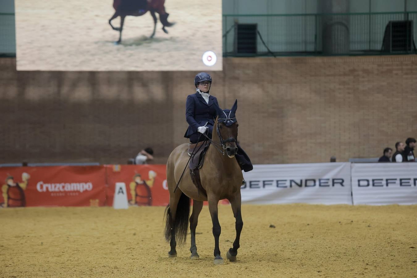 Durante la jornada del jueves en Fibes se pudieron contemplar magníficos ejemplares de caballos