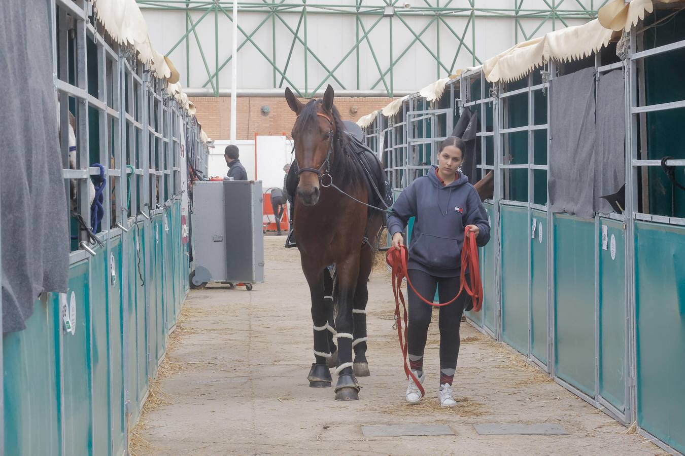 Durante la jornada del jueves en Fibes se pudieron contemplar magníficos ejemplares de caballos