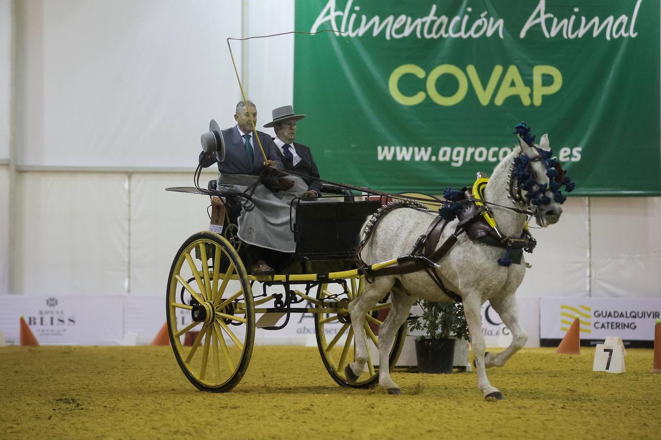 Durante la jornada del jueves en Fibes se pudieron contemplar magníficos ejemplares de caballos