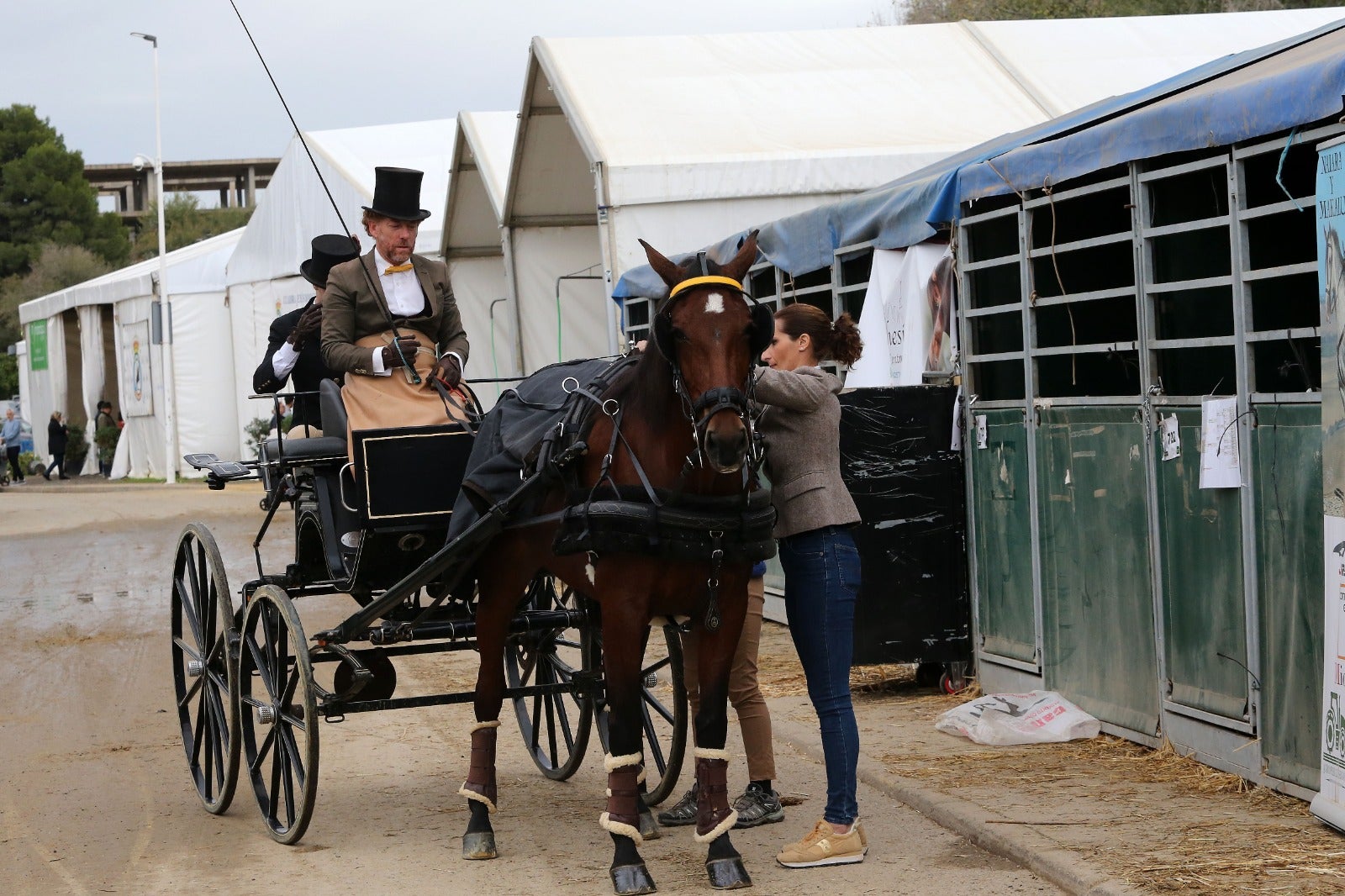 Un instante de la jornada de clausura de Sicab 2024