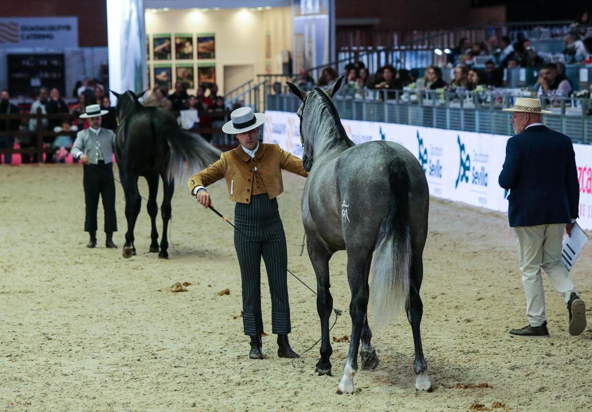 Las competiciones se han prolongado hasta el mediodía del domingo