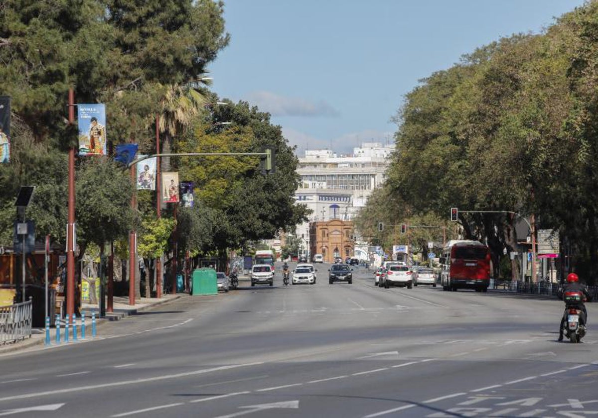 Vista general del Paseo Colón, donde se colocarán el grueso de las más de 21.000 sillas para la procesión Magna del 8 de diciembre