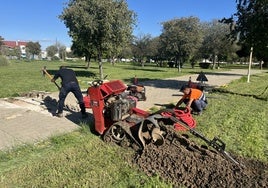 Nuevo sistema de riego en el Parque Polígono el Pino de Sevilla,  obra que permanecía parada desde 2017