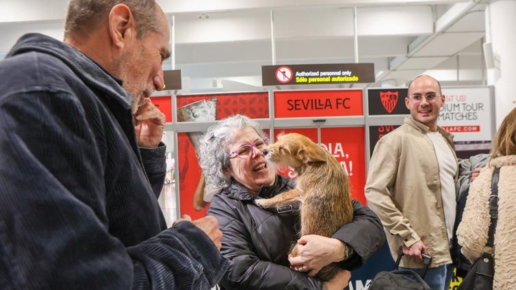 Emoción en la terminal de Sevilla: hasta la perrita Manuela vuelve a casa por Navidad