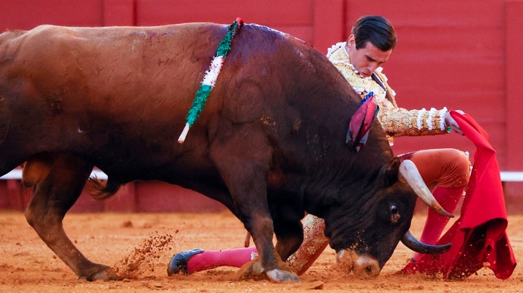 Juan Ortega en la Maestranza de Sevilla