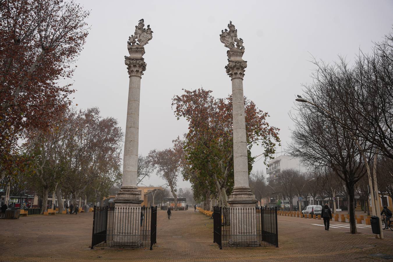 Estampas bonitas y fantasmagóricas a la vez de los rincones de Sevilla con niebla