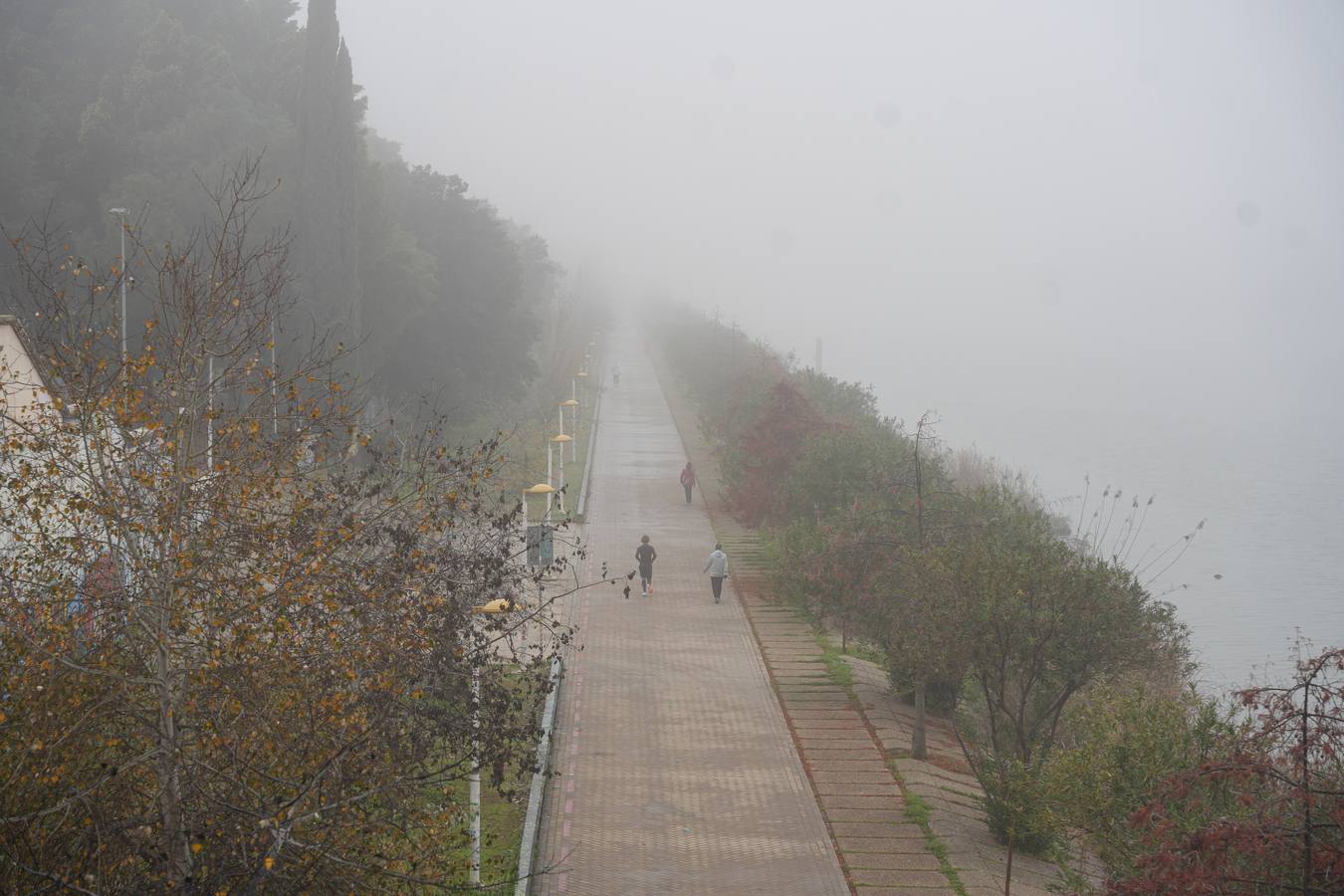 Estampas bonitas y fantasmagóricas a la vez de los rincones de Sevilla con niebla