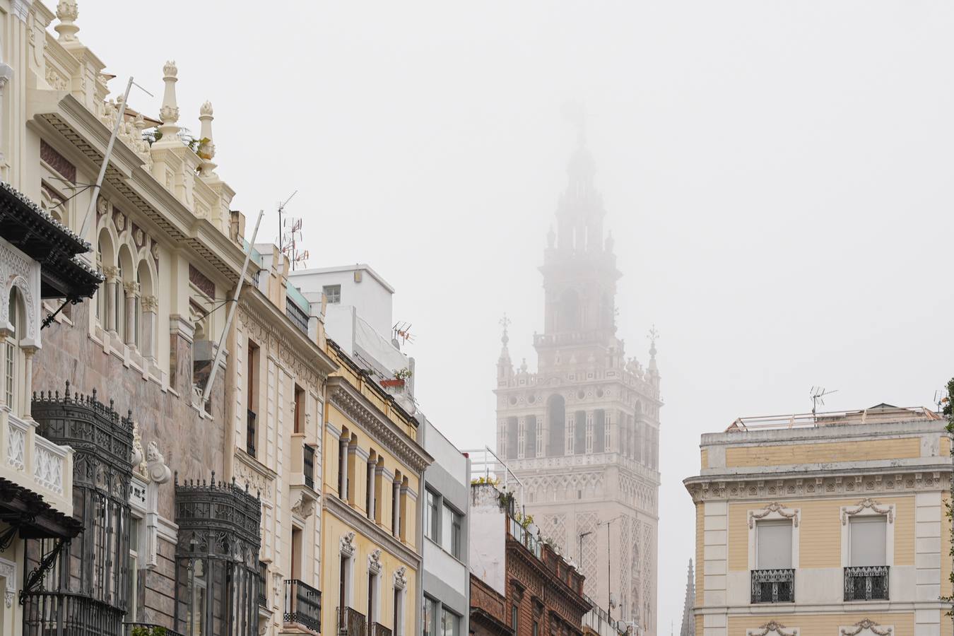 Estampas bonitas y fantasmagóricas a la vez de los rincones de Sevilla con niebla