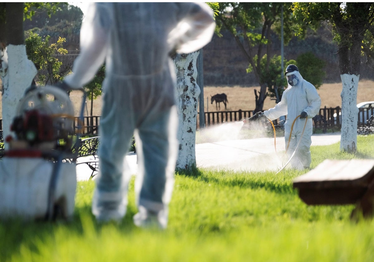 Imagen de archivo de las fumigaciones en Coria del Río