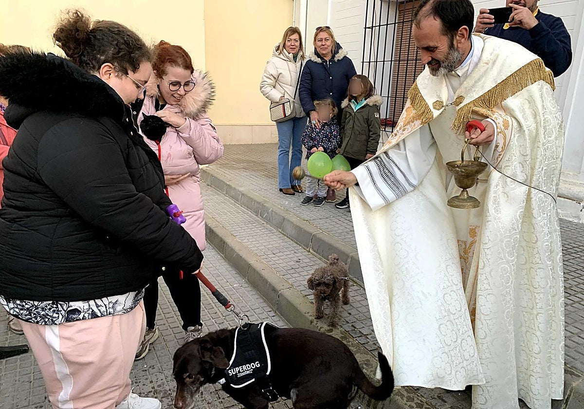 Bendición de mascotas en Montequinto por el sacerdote Francisco Javier Nadal