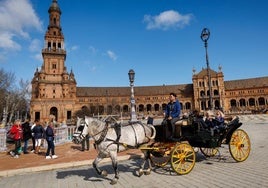 Los coches de caballos de Sevilla se reivindican contra la cruzada de Málaga: «Llegamos antes que los de motor»