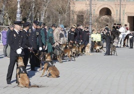 Imágenes del homenaje de la Policía Nacional a la unidades de Caballería y Guías Caninos en Sevilla