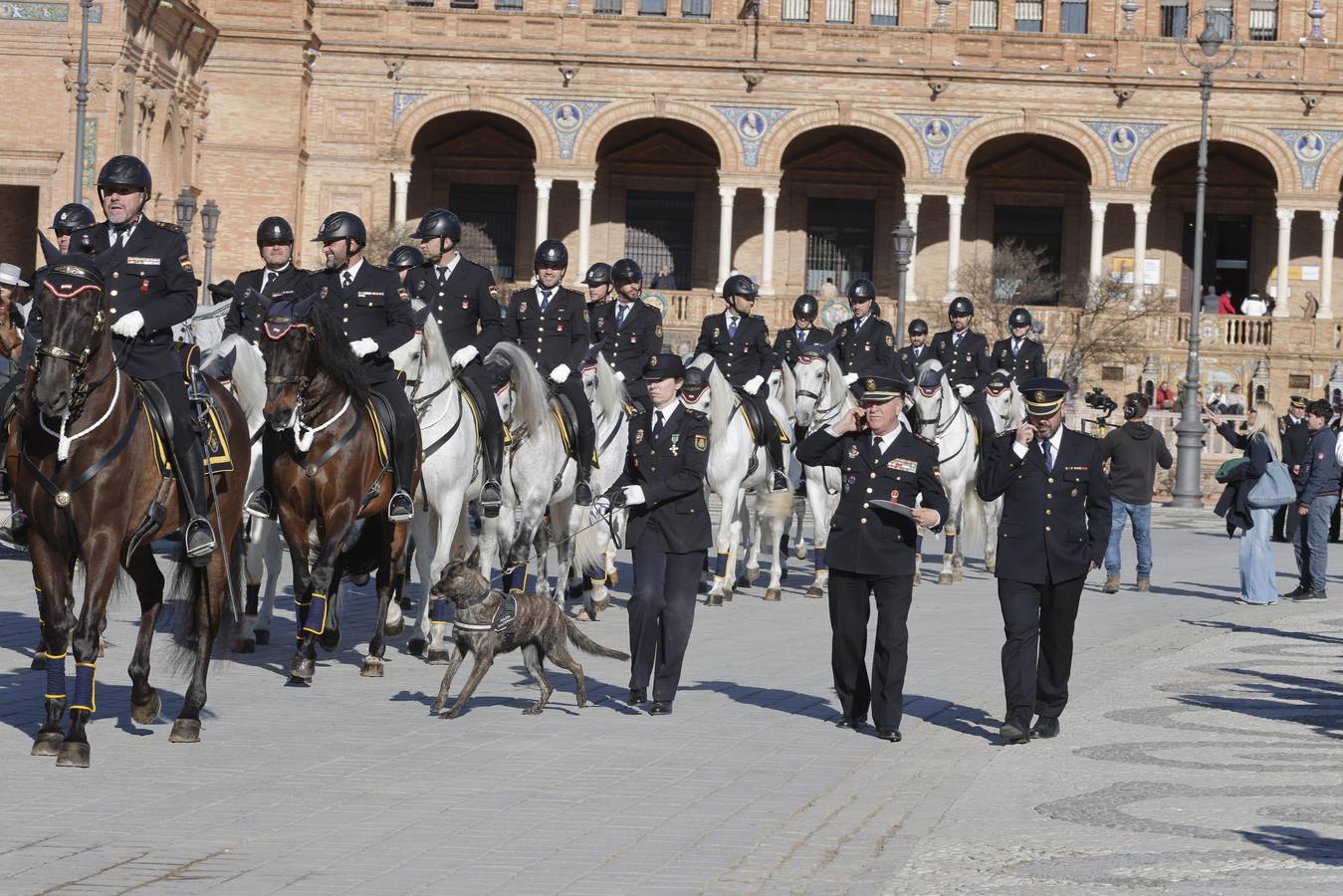 Los animales han sido los grandes protagonistas de este acto homenaje de la Policía Nacional