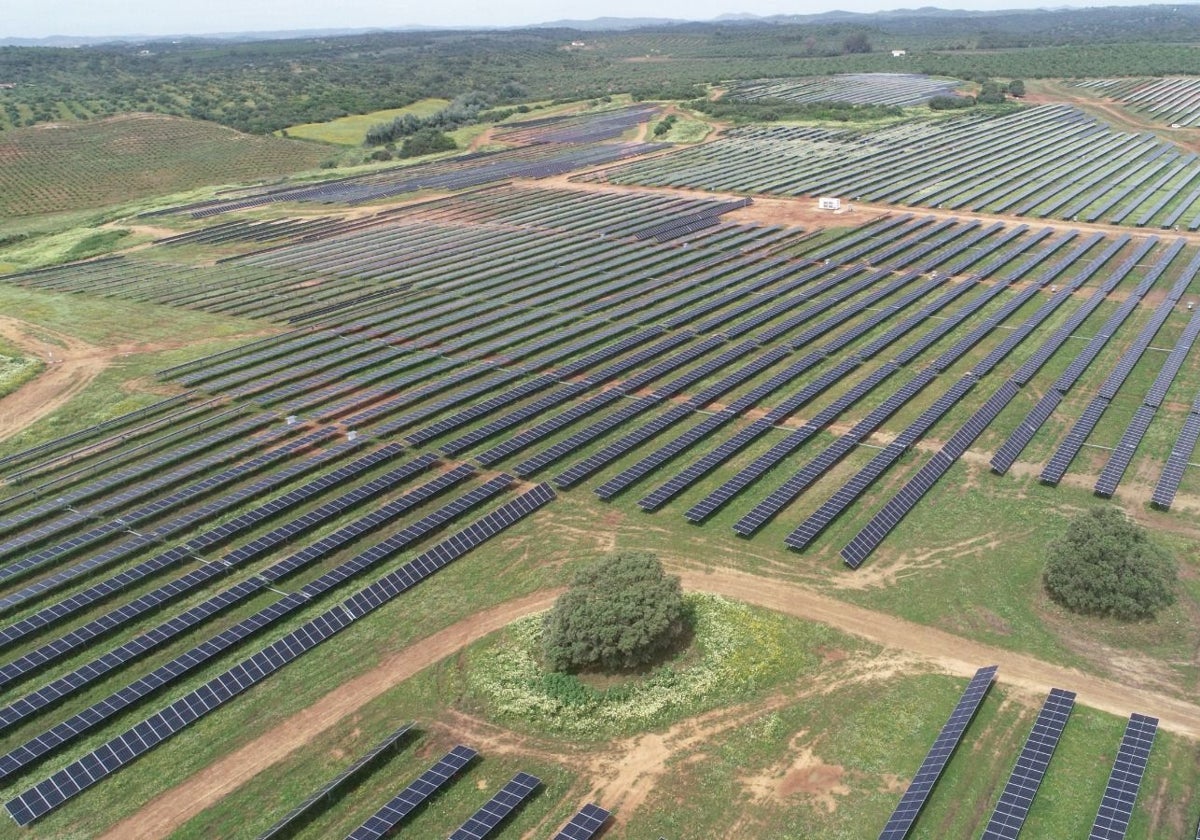 Vista aérea de lap lanta de energía solar las Rozas de Zelestra en Sevilla