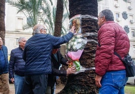 El abuelo de Marta del Castillo lamenta que «el verdadero asesino esté en la calle» dieciséis años después de su desaparición